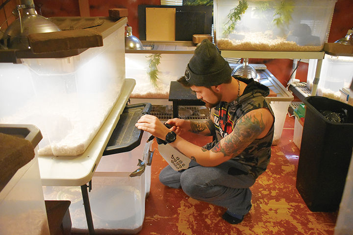 1-9 Reptile Care 2.jpg